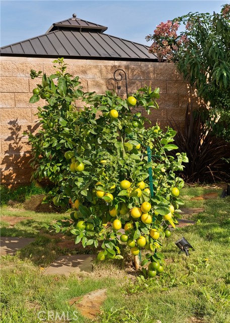 Detail Gallery Image 39 of 61 For 27628 Evergreen Pl, San Pedro,  CA 90732 - 5 Beds | 3 Baths