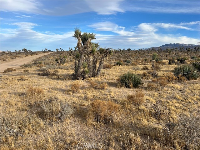 23926 Poppy Road, Apple Valley CA: https://media.crmls.org/medias/109874e3-15ee-4e60-9444-7c97abaf1ca3.jpg
