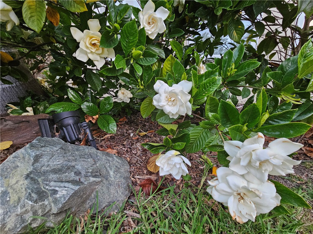 https://media.crmls.org/medias/109e601e-16f7-4429-970e-07a56419a541.jpg?preset=X-Large