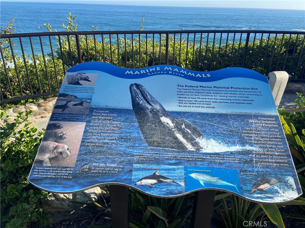 https://media.crmls.org/medias/109fadc7-0f4d-41ca-8550-faec2b39785b.jpg?preset=X-Large