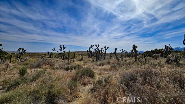 Detail Gallery Image 38 of 49 For 0 103rd St East Vicinity W14, –,  CA 93543 - – Beds | – Baths