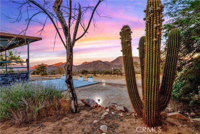 Detail Gallery Image 40 of 56 For 8672 via Rocosa Rd, Joshua Tree,  CA 92252 - 2 Beds | 3 Baths