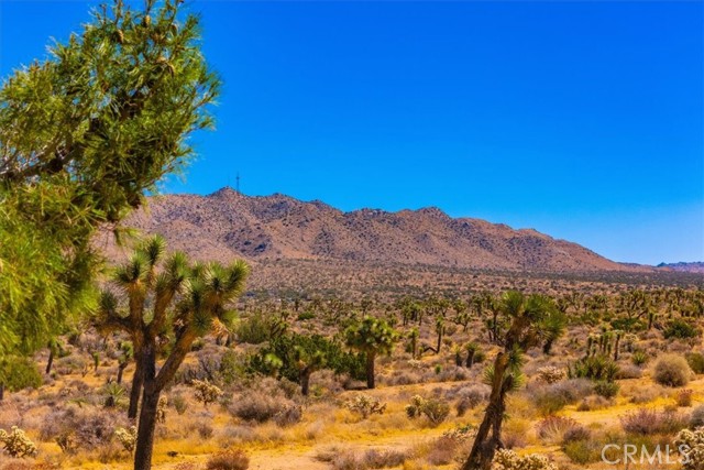 Detail Gallery Image 40 of 54 For 8555 Palomar Ave, Yucca Valley,  CA 92284 - 3 Beds | 2 Baths