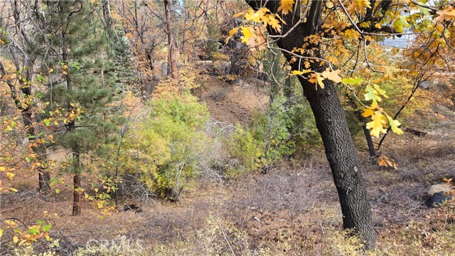 Detail Gallery Image 10 of 19 For 1000 Butte Ave, –,  CA 92314 - – Beds | – Baths