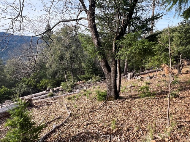 Detail Gallery Image 6 of 23 For 9457 Fox, Cobb,  CA 95426 - – Beds | – Baths