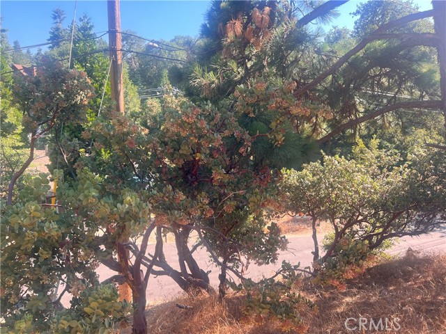 0 Arth Drive, Crestline, California 92325, ,Land,For Sale,0 Arth Drive,CRHD23124328