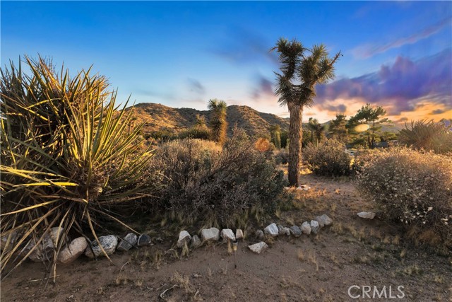 Detail Gallery Image 22 of 32 For 7985 Deer Trl, Yucca Valley,  CA 92284 - 2 Beds | 1 Baths