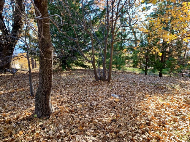 Detail Gallery Image 16 of 21 For 40 Park, Running Springs,  CA 92382 - – Beds | – Baths