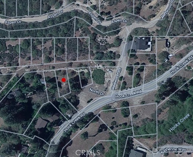 22 22 North Drive, Cedar Glen, California 92321, ,Land,For Sale,22 22 North Drive,CRSW23200144