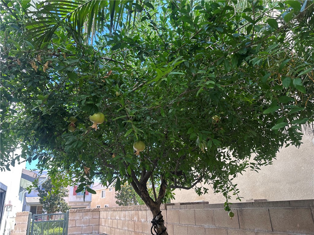 https://media.crmls.org/medias/10be4138-81f9-4fe9-a5ab-6f895fb5bca8.jpg?preset=X-Large