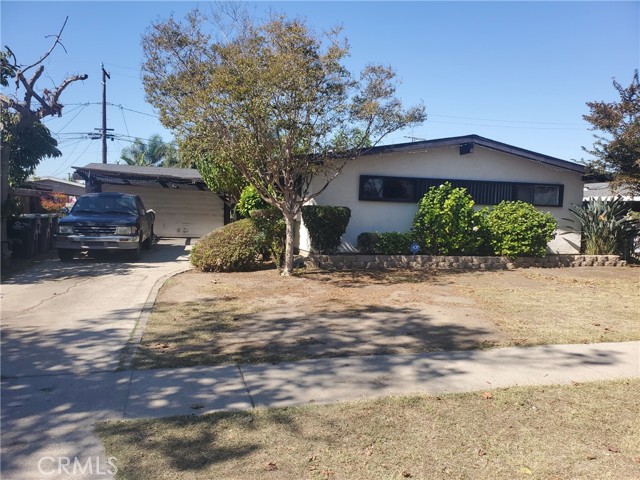 Front Image Thumbnail for CROC25241875