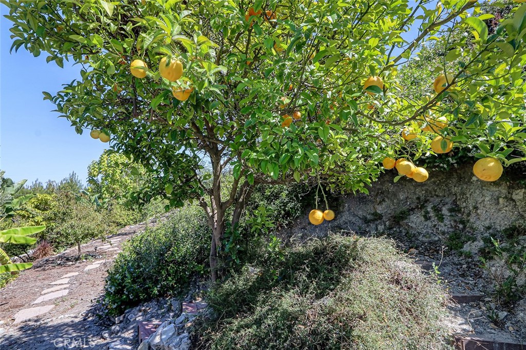 https://media.crmls.org/medias/10c037e3-9364-4cb6-89e1-73a952be9520.jpg?preset=X-Large