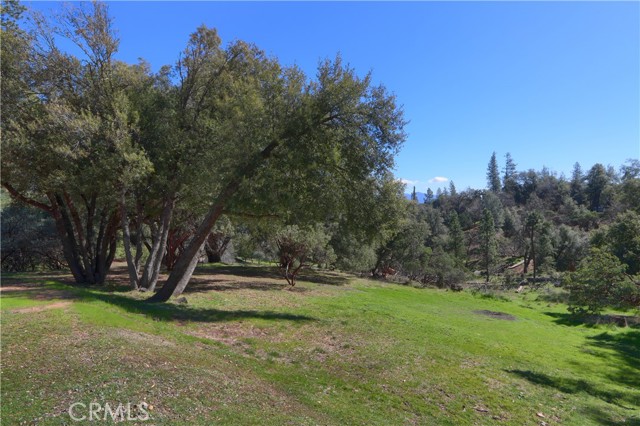 Detail Gallery Image 47 of 57 For 5840 Evergreen, Mariposa,  CA 95338 - 3 Beds | 2 Baths