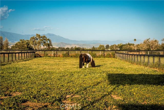 Detail Gallery Image 42 of 60 For 1977 W San Marcos Pass Rd, Santa Ynez,  CA 93460 - – Beds | – Baths