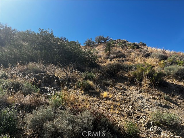 0 Golden Bee Drive, Yucca Valley, California 92284, ,Land,For Sale,0 Golden Bee Drive,CRJT23172613