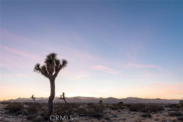 Detail Gallery Image 37 of 38 For 2360 Sand, Landers,  CA 92285 - 1 Beds | 1 Baths