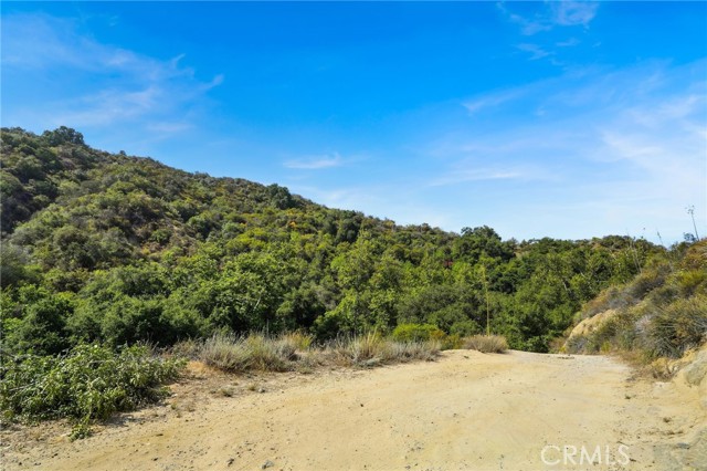 Detail Gallery Image 6 of 21 For 20219 Paradise Ln, Topanga,  CA 90290 - – Beds | – Baths