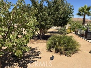 MLS #WS26175787 image #21