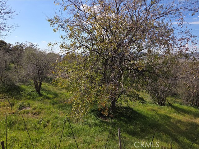 Detail Gallery Image 4 of 24 For 59995 Granite Gulley, Anza,  CA 92539 - 2 Beds | 2 Baths
