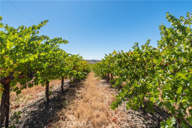 Detail Gallery Image 12 of 22 For 4616 Hog Canyon Road, San Miguel,  CA 93451 - – Beds | – Baths