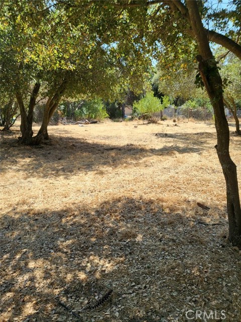 3150 Country Club Drive, Clearlake CA: https://media.crmls.org/medias/10e3bdd8-a8ba-4323-9946-2b9b408f8c0d.jpg