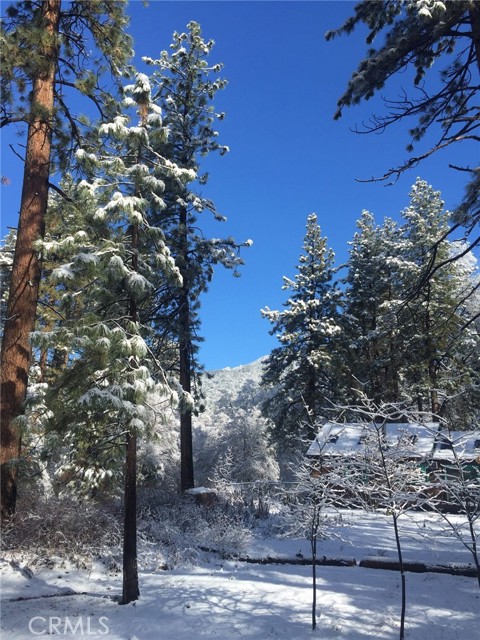 54050 Pine Crest Avenue, Idyllwild CA: https://media.crmls.org/medias/10e4a807-e3c5-437e-bbad-6d4ea6d379dc.jpg