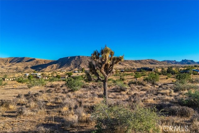 Detail Gallery Image 9 of 15 For 1 Pipes Canyon Road, Pioneertown,  CA 92268 - – Beds | – Baths