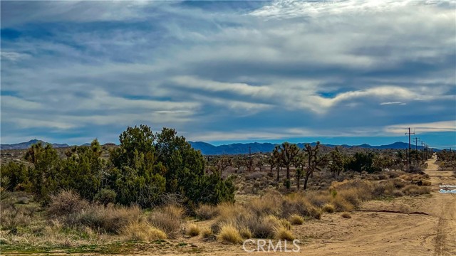 Detail Gallery Image 32 of 32 For 4824 Elata Ave, Yucca Valley,  CA 92284 - – Beds | – Baths