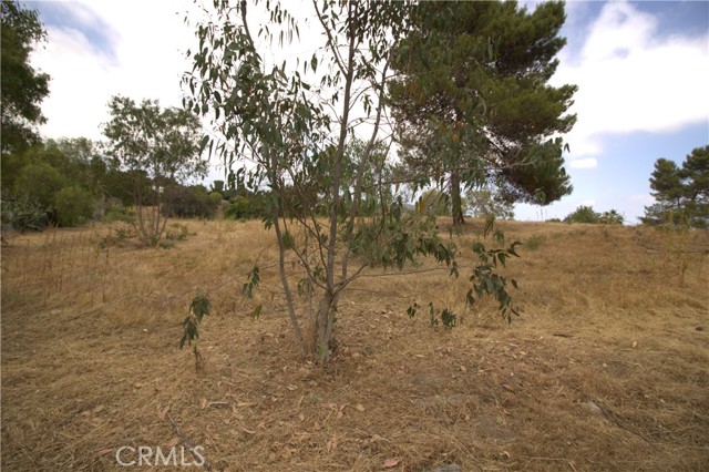 0 Linda Vista Drive, San Marcos CA: https://media.crmls.org/medias/10e7cf2a-37fc-41c8-ad0f-94360df1dcf4.jpg