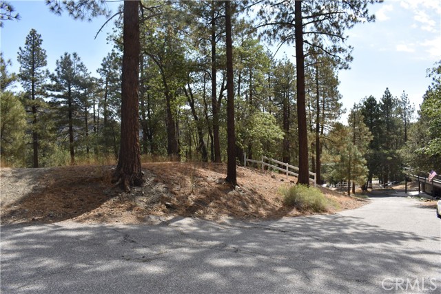 0 Logwood, Wrightwood, CA, 92397 0 Logwood, Wrightwood, CA, 92397