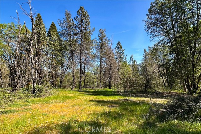 Detail Gallery Image 12 of 29 For 21138 Big Oak Ln, Lakehead,  CA 96051 - – Beds | – Baths