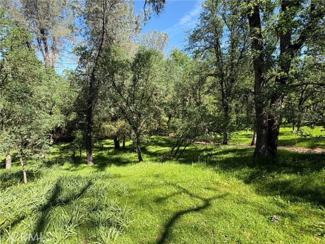 Detail Gallery Image 18 of 26 For 3465 Foothill Bld, Oroville,  CA 95966 - – Beds | – Baths