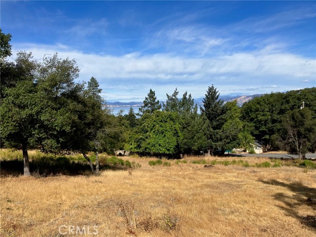 3092 Riviera Heights Drive, Kelseyville, California 95451, ,Land,For Sale,3092 Riviera Heights Drive,CRLC23182389