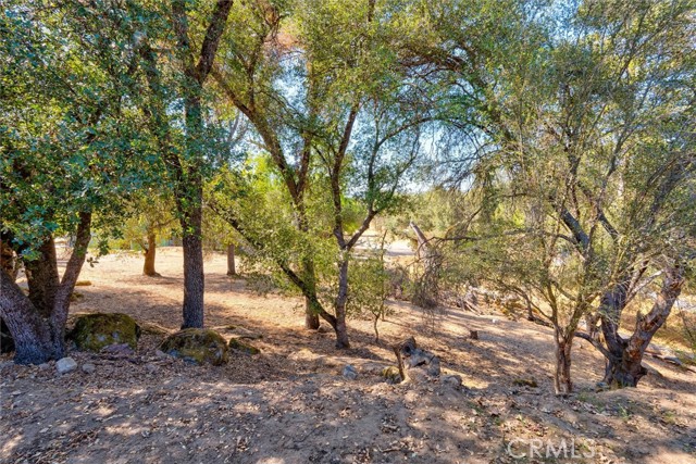 Detail Gallery Image 31 of 41 For 39614 Pierce Lake Dr, Oakhurst,  CA 93644 - 3 Beds | 2 Baths