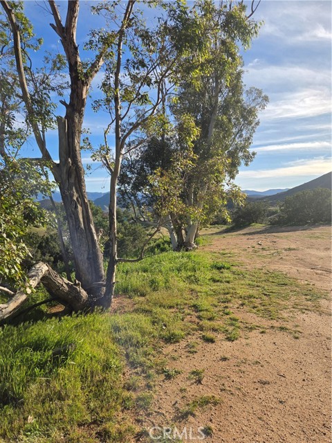 Detail Gallery Image 9 of 9 For 0 Red Rover, Acton,  CA 93510 - – Beds | – Baths