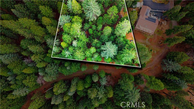 Detail Gallery Image 5 of 22 For 5435 Pine Ridge, Grizzly Flats,  CA 95636 - – Beds | – Baths