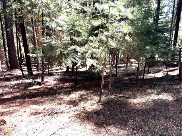 Image 3 of 5 For 14887 Hickok Ct