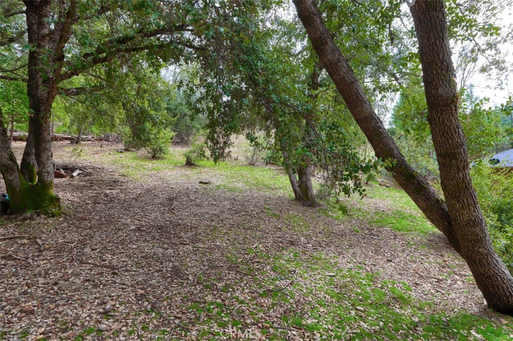 https://media.crmls.org/medias/1104ad92-696d-445f-a705-307d8f39c611.jpg?preset=X-Large