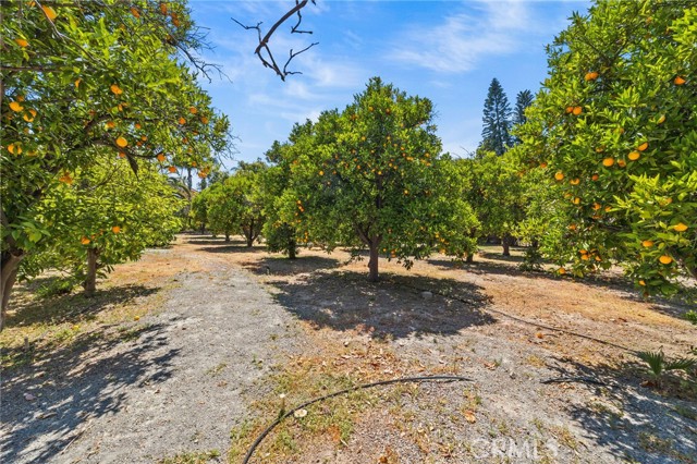 Detail Gallery Image 12 of 75 For 805 E Chase Dr, Corona,  CA 92881 - 6 Beds | 6/1 Baths