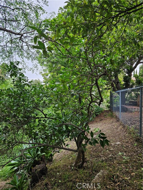 Detail Gallery Image 48 of 48 For 26349 Hillcrest Ave, Lomita,  CA 90717 - 5 Beds | 2 Baths