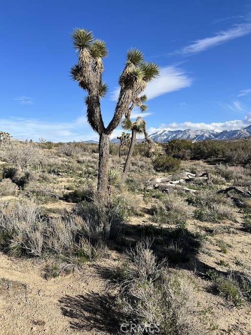 Detail Gallery Image 24 of 25 For 0 Vac/Fort Tejon Pav /Vic Avenue, Pearblossom,  CA 93553 - – Beds | – Baths