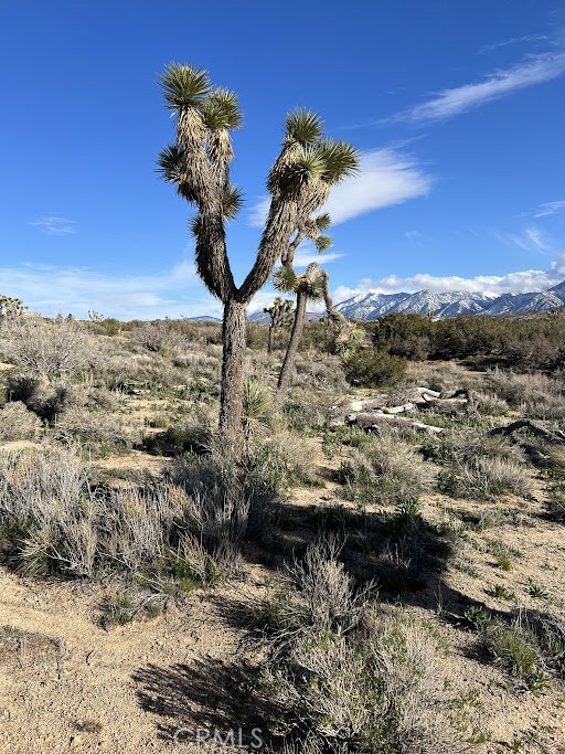 MLS #SR25254609 image #23