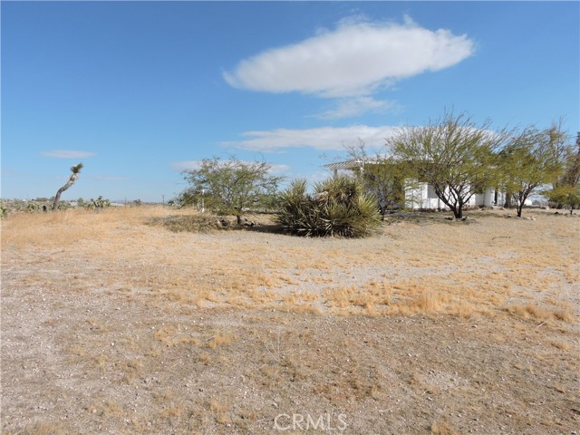 Detail Gallery Image 17 of 33 For 58223 Sunflower Dr, Yucca Valley,  CA 92284 - 0 Beds | –/1 Baths