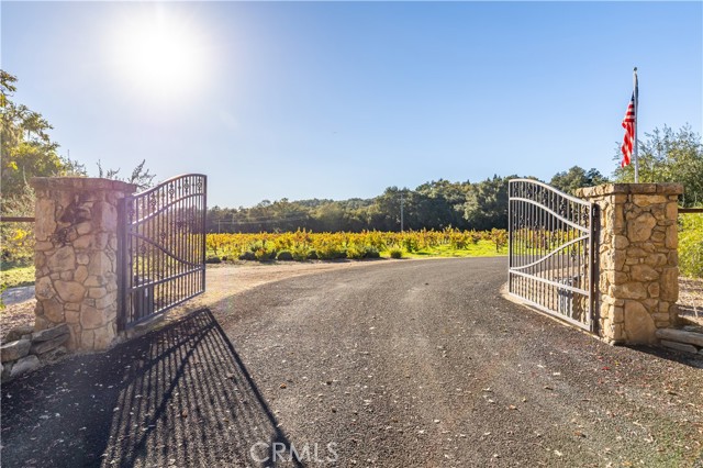 Detail Gallery Image 2 of 52 For 1545 Willow Creek, Paso Robles,  CA 93446 - 2 Beds | 4 Baths