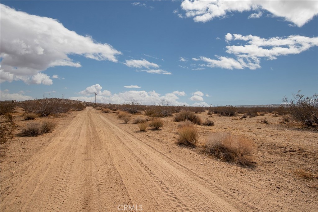 MLS #JT25183388 image #5