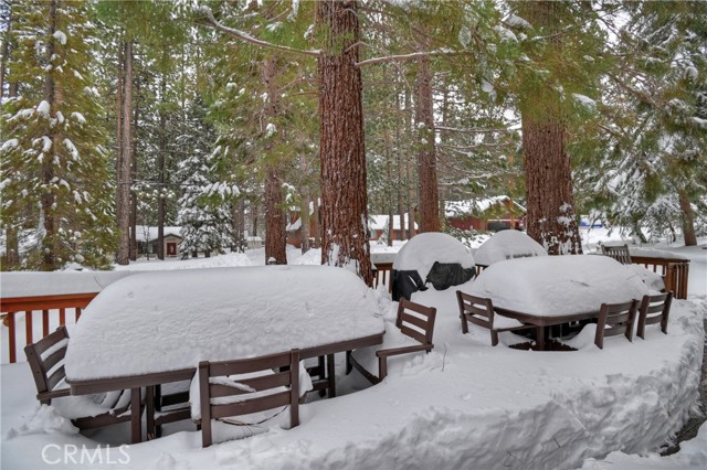 Detail Gallery Image 44 of 50 For 764 Crestwood, Big Bear Lake,  CA 92315 - 2 Beds | 2 Baths