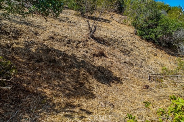 13406 Newcomb Drive photo 8