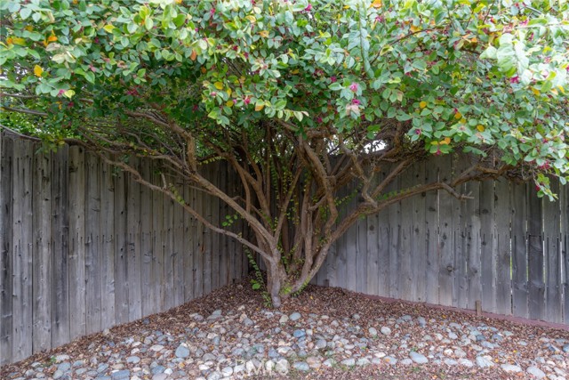 Detail Gallery Image 32 of 37 For 354 Silver Lake, Chico,  CA 95973 - 3 Beds | 2 Baths