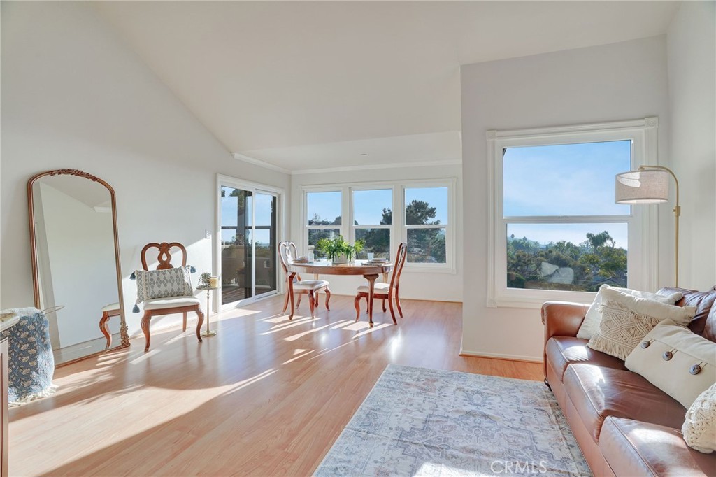 1074 Calle Del Cerro #1806