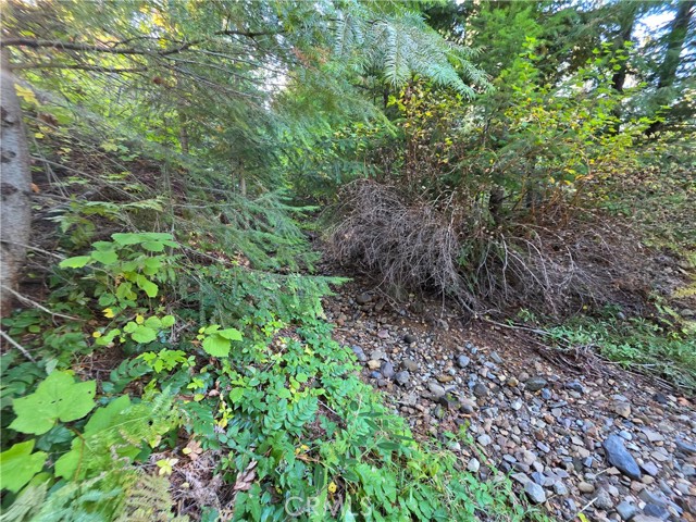 Detail Gallery Image 17 of 22 For 0 Muledeer Rd., Weed,  CA 96094 - – Beds | – Baths